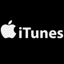 iTunes-250x250-1 flywheel advisors in the media